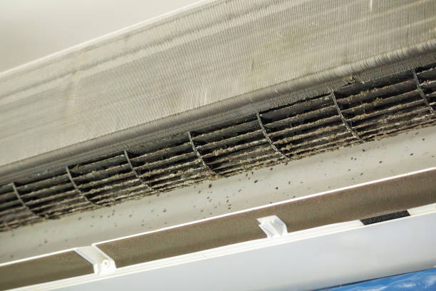 Best Best Air Duct Cleaning Company  in Springville, AL